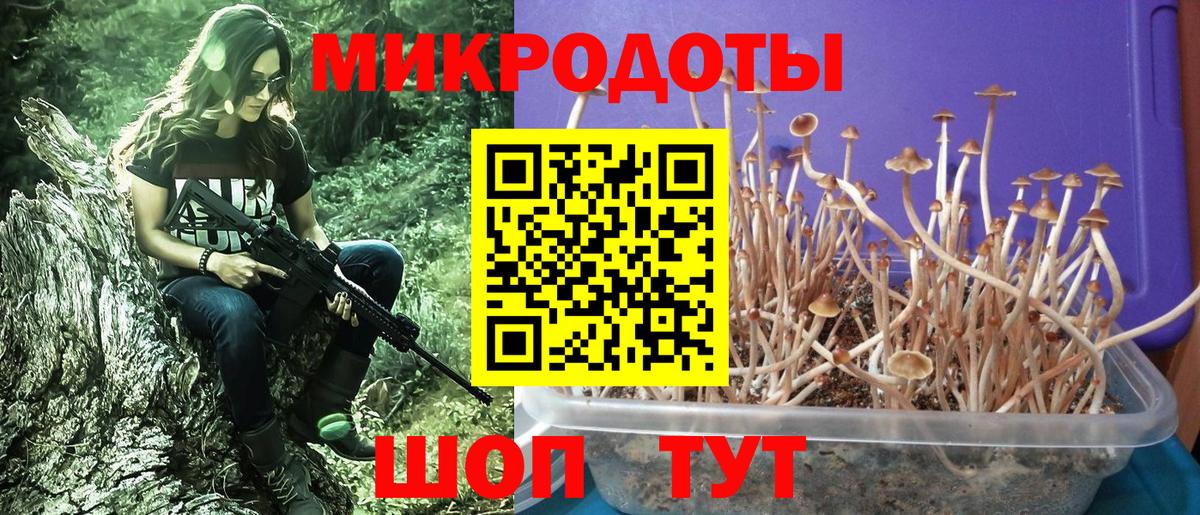 Туапсе  Галлюциногенные грибы прущие грибы  Псилоцибиновые грибы MAGIC MUSHROOMS  Вход с VPN 